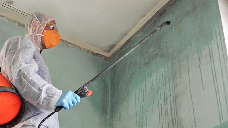 Basement Mold Remediation in Frisco, TX