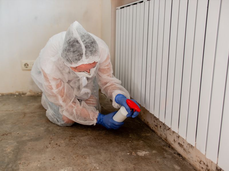 Mold Cleanup Service in Fort Worth, TX