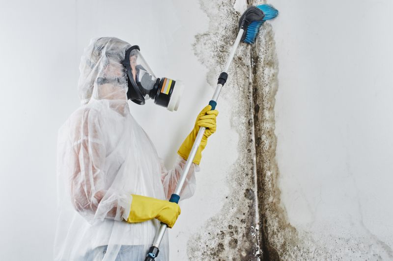 Crawlspace Mold Remediation in Fort Lauderdale, FL
