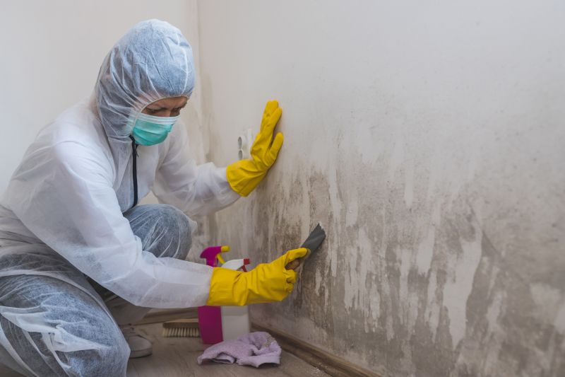 Crawlspace Mold Remediation in Boca Raton, FL
