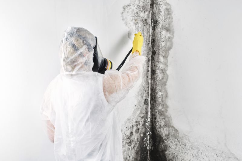 Garage Mold Remediation in Fort Lauderdale, FL