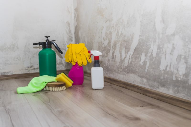 Garage Mold Remediation in West Palm Beach, FL
