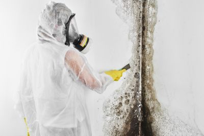 Mold Abatement in Frisco, TX