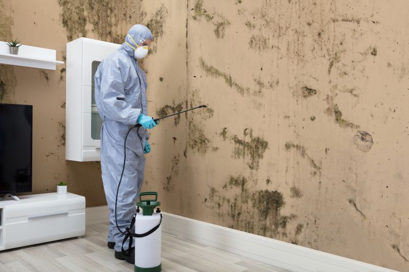Mold Control in Essex County, NJ