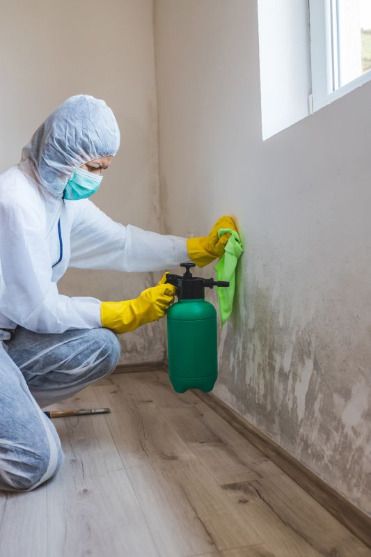 Mold Mitigation Service in Dallas, TX