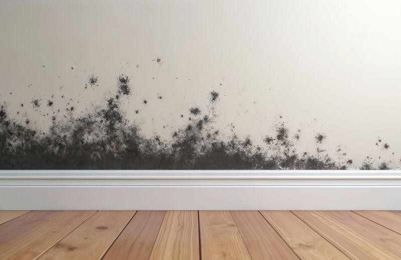 White Mold Mitigation in Fort Lauderdale, FL